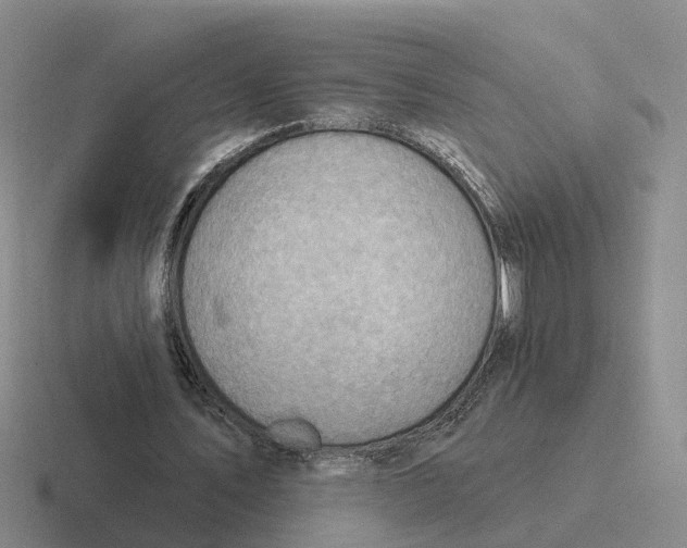 X0000116650579201001041052