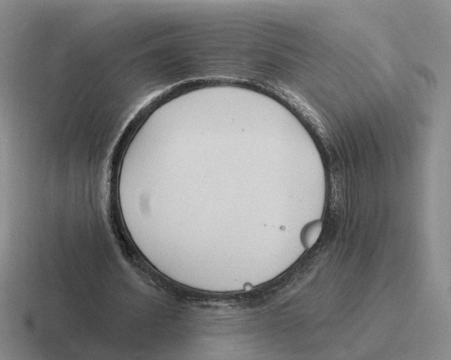 X0000116650580201001041052