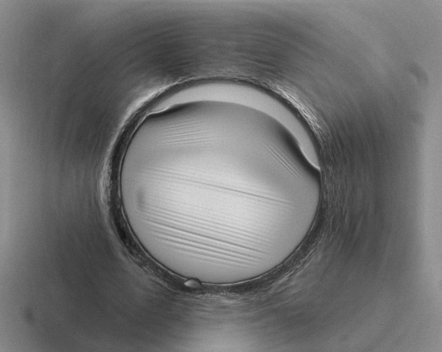 X0000116650583201001041052