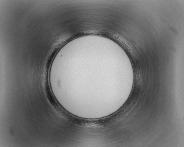 X0000116650586201001041052