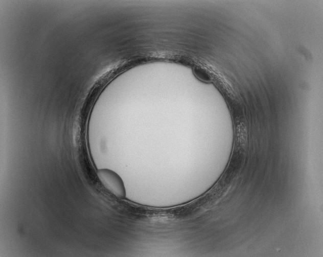 X0000116650587201001041052