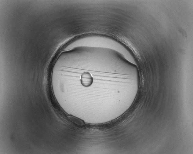 X0000116650588201001041052