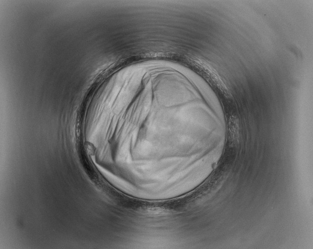 X0000116650590201001041052