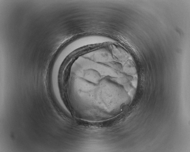 X0000116650592201001041052