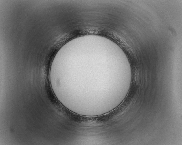 X0000116650594201001041052