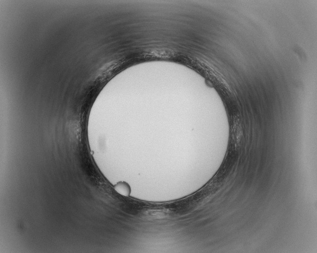 X0000116650595201001041052