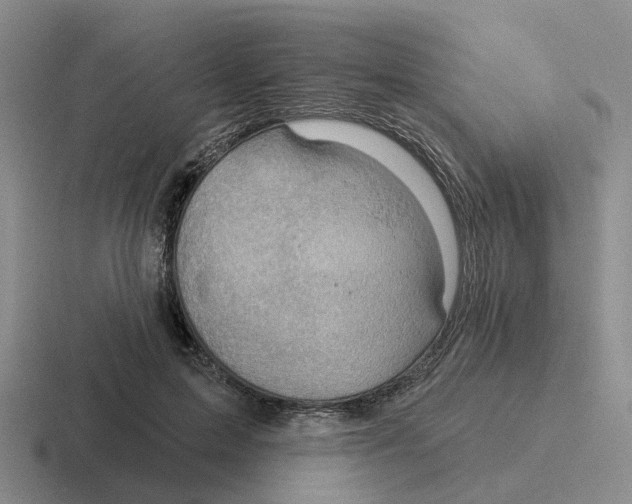 X0000116650599201001041052