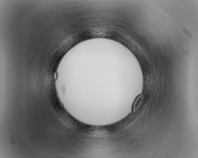 X0000116650601201001041052