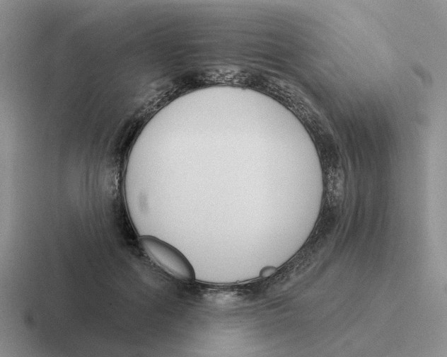 X0000116650602201001041052