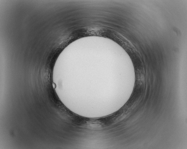 X0000116650603201001041052