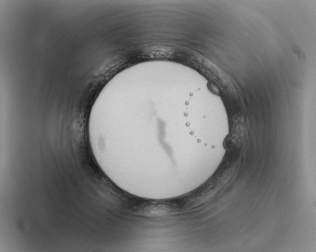 X0000116650604201001041052