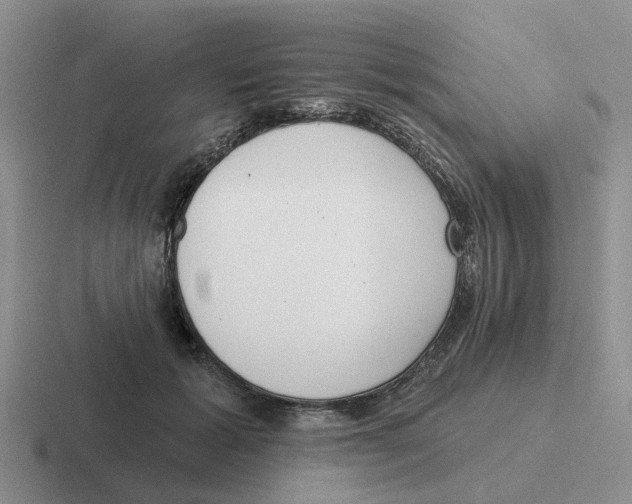 X0000116650605201001041052