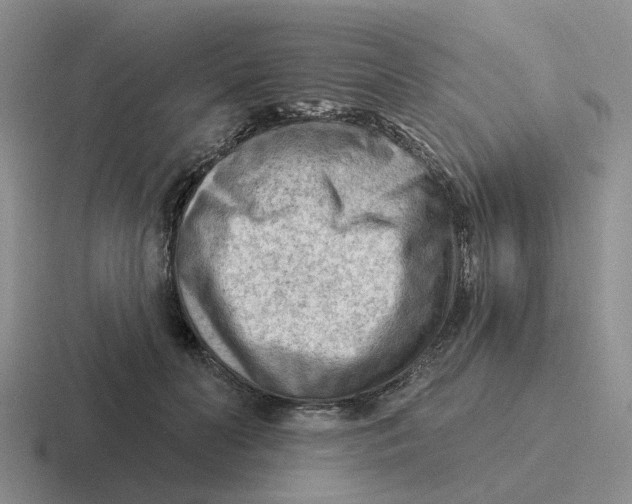 X0000116650606201001041052