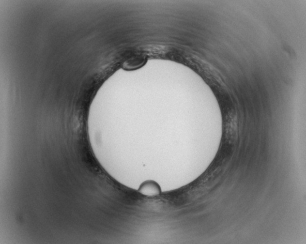 X0000116650608201001041051