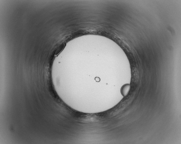 X0000116650612201001041051