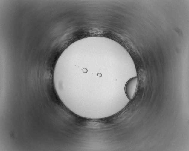 X0000116650614201001041051