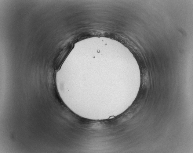 X0000116650616201001041051