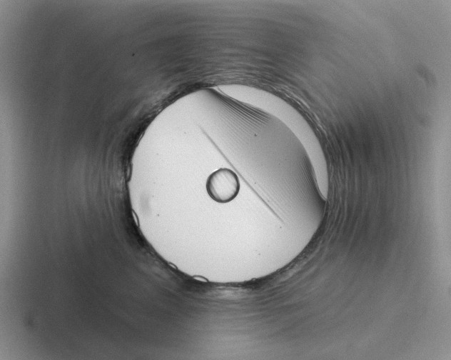 X0000116650617201001041051