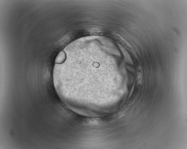 X0000116650618201001041051