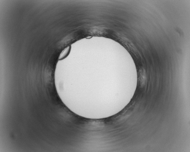 X0000116650619201001041051