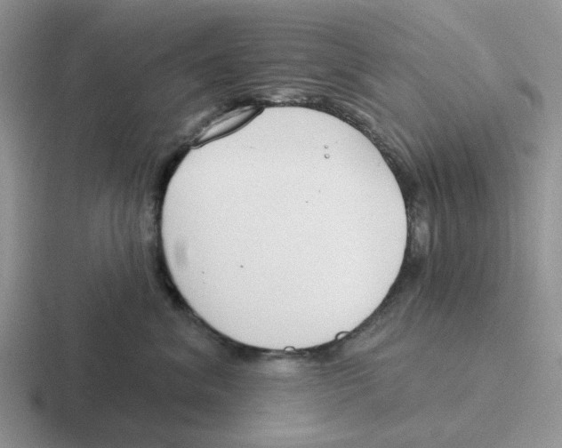 X0000116650620201001041051