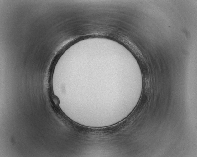 X0000116650628201001041051