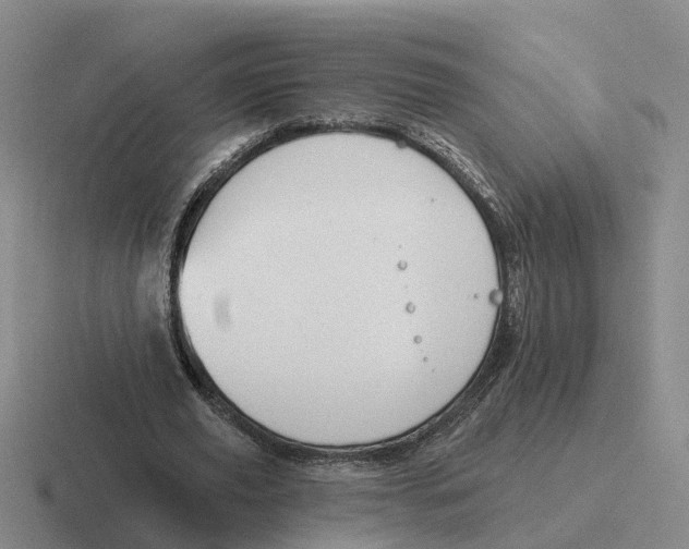 X0000116650629201001041051