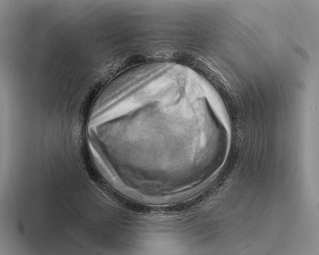 X0000116650641201001041051