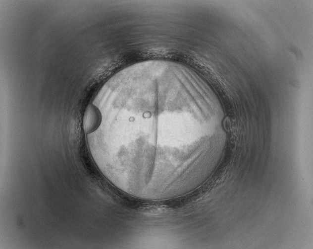 X0000116650642201001041051