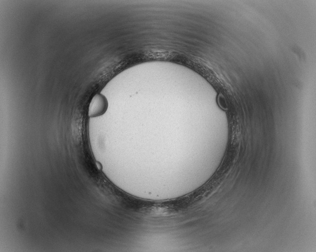 X0000116650647201001041051