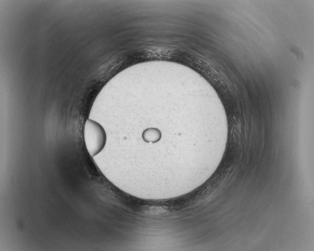 X0000116650649201001041051