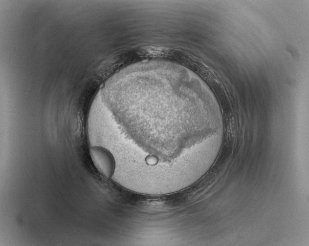 X0000116650651201001041051