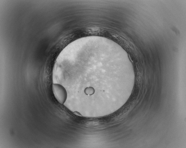 X0000116650653201001041051