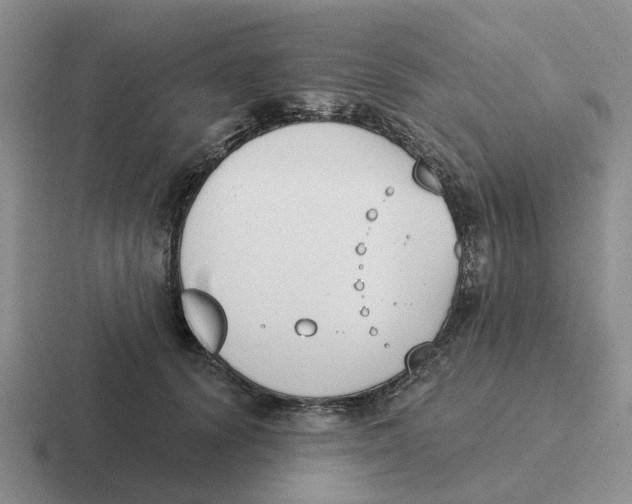 X0000116650656201001041051