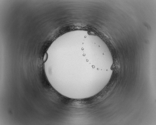 X0000116650657201001041051