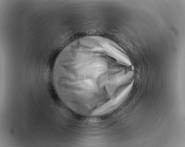 X0000116650659201001041051