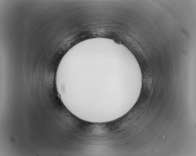 X0000116650660201001041051