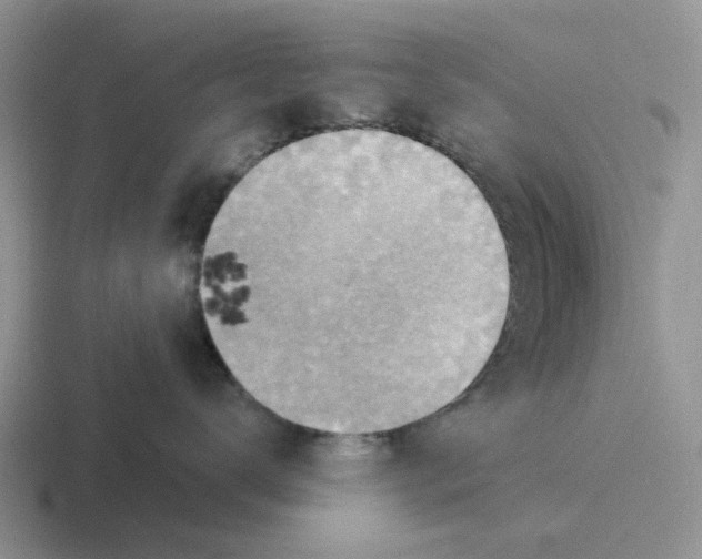 X0000116650672201001041051