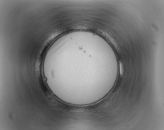 X0000116650675201001041051