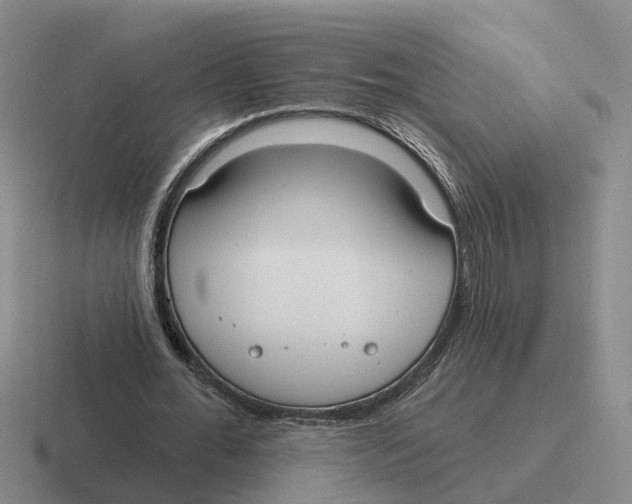 X0000116650676201001041051