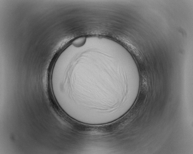 X0000116650678201001041051