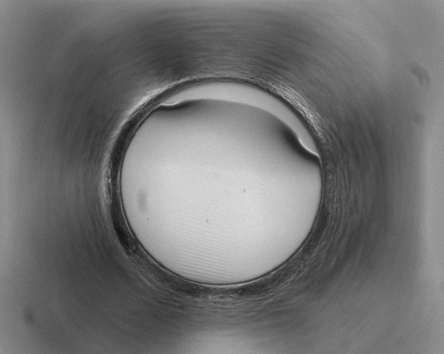 X0000116650680201001041051