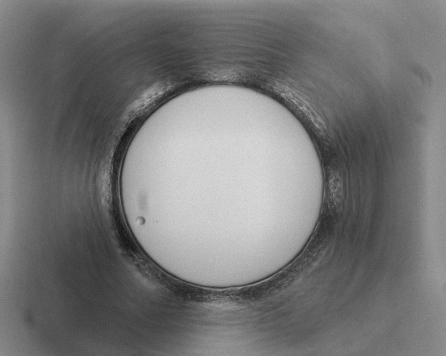 X0000116650682201001041051