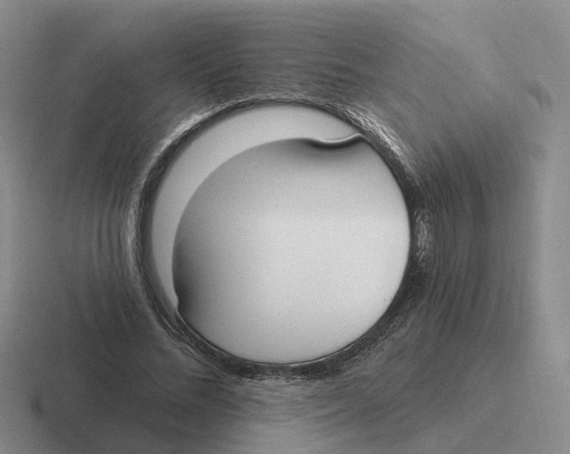 X0000116650684201001041051