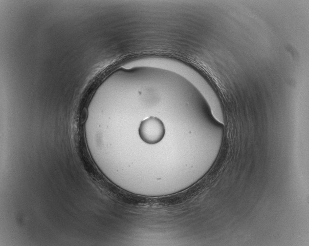 X0000116650688201001041050