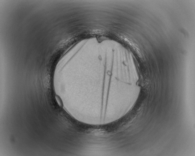 X0000116650689201001041050