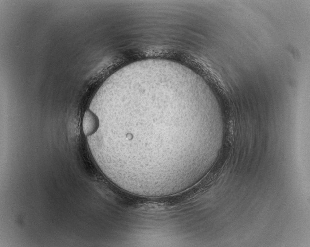 X0000116650691201001041050