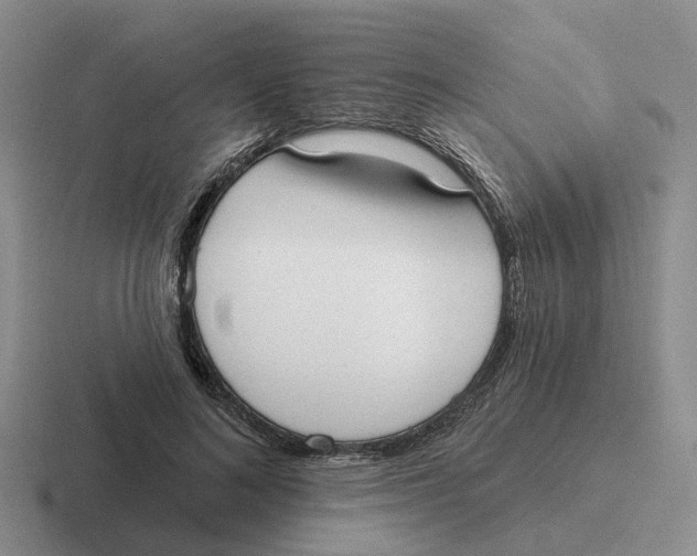 X0000116650692201001041050