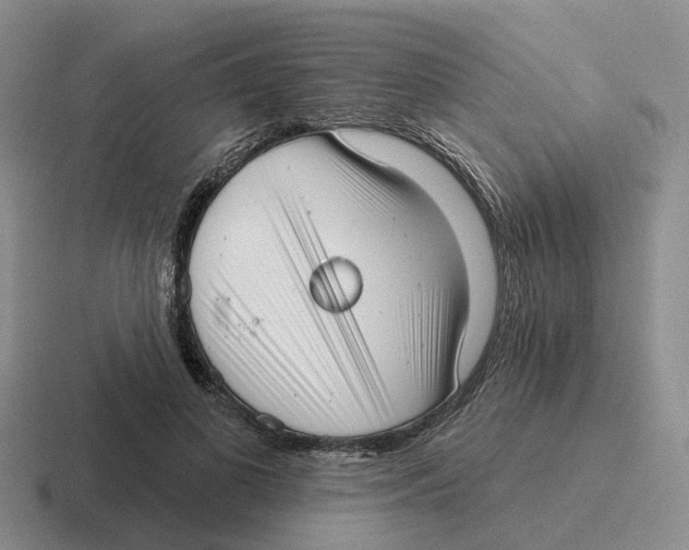 X0000116650693201001041050