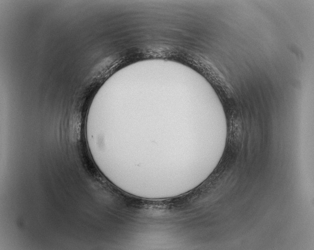 X0000116650694201001041050